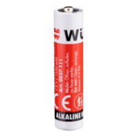 PILA-ALCALINA-AAA-MICRO-LR03-1,5V