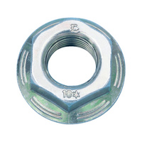 NUT-RIPP-FLG-10-(A2K)-M10