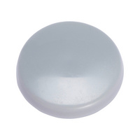 CAP-FL-W.FLG-(0910)-GREY
