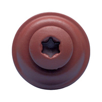 TOR-C.ARN15-A2-AW20-KUPFERBRAUN-4,5X25