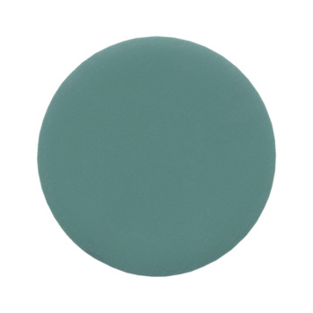 DISCO-LIJA-PRO-LINE-D77MM-P800