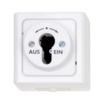 SWTCH-SM-KEY-WHITE-10A-250V