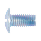 Cup head bolt slotted