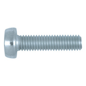 Screw pan-head with slot