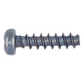 Screw, pan head for plastics