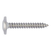 Tapping screw pan head with flange