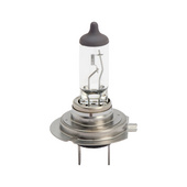 Halogen bulb, vehicle