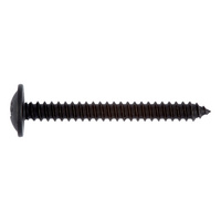 Pan head tapping screw with flange