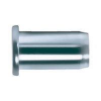 Rivet nut with round pan head