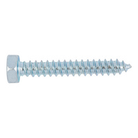 DIN 7976 steel zinc plated shape C with tip