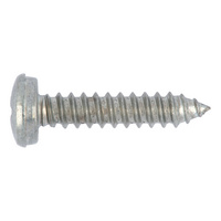 Number plate screw steel zinc plated