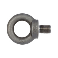 Ring screw DIN 580, steel C15E, plain