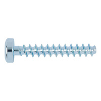 WÜPLAST® pan head screw with hexalobular drive WN 1452, steel 10.9, zinc-plated, transparent passivated (A3K)