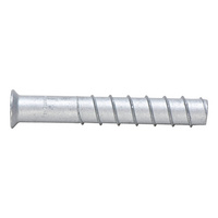 Tarmac fixing bolt W-SA A-IG