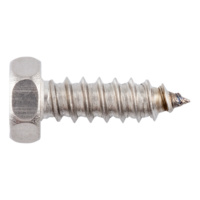 DIN 7976 stainless steel A2 plain type C with tip