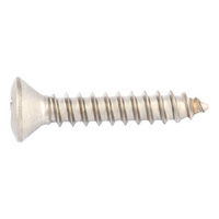 DIN 7983 plain A4 stainless steel H shape C point.