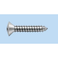 Raised countersunk head tapping screw, shape C with hexalobular socket