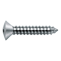 DIN 7983 plain A2 stainless steel H shape C point.