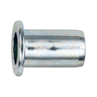 Rivet nut with flat head