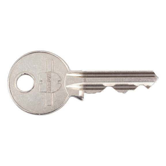 Skeleton key for 5-pin NP bearing cylinder - SKLTNKEY-F.PRFLCYL-NP-GS1