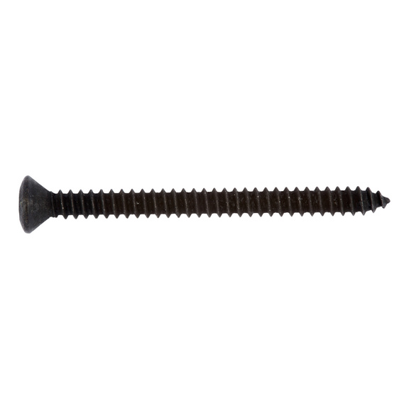 Raised countersunk head tapping screw, shape C with AW drive - SCR-RSDCS-WN112-AW10-(ZNBHL)-3,5X9,5