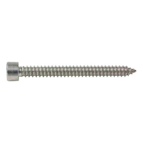 Cylinder tapping screw, C shape with hexagon socket - 1