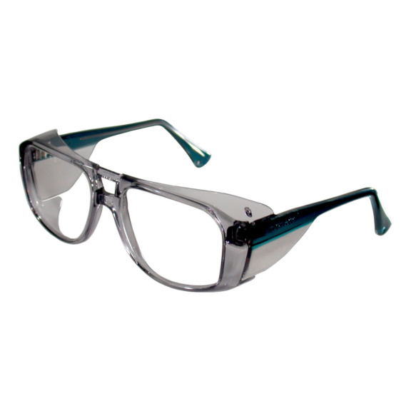 Safety goggles Honeywell Horizon 3024147