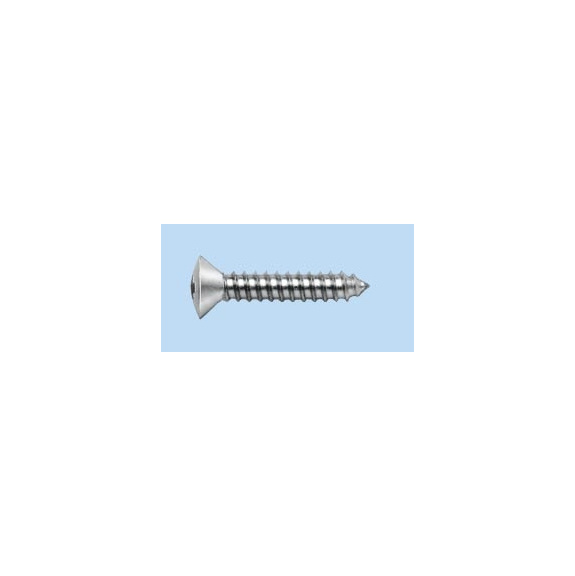 Raised countersunk head tapping screw, shape C with hexalobular socket - SCR-RSDCS-DIN7983-C-TX20-A2-4,2X32