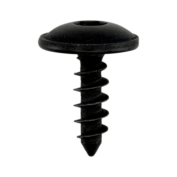 Screw - SCR-FILLISTER HEAD-5X16-DELTA-PROTECT-BL