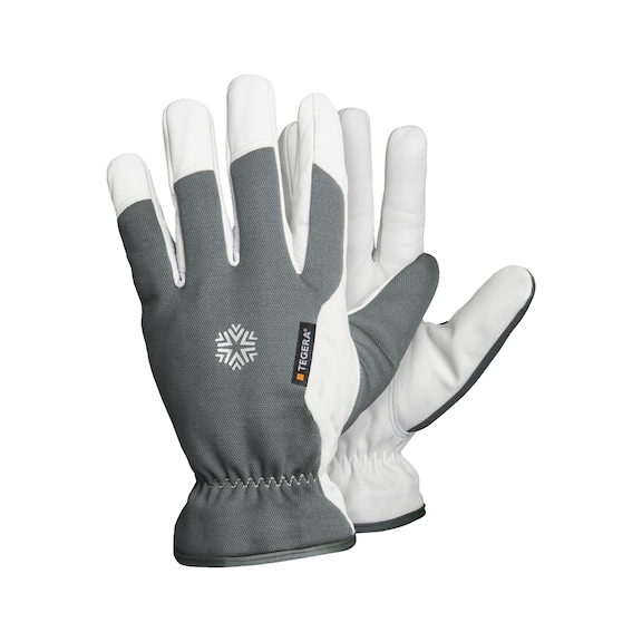 Tegera winter gloves shop