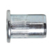 Rivet nut with flat head and knurled shank - 1