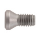 Screw for ISO S clamping system