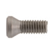 Screw for ISO S clamping system