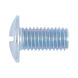 Slotted round head screw W-0231, steel 4.8, zinc-plated, with slot - 1