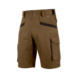 Shorts Nature - WORK SHORTS NATURE BROWN 52 - 1