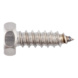 Hexagon tapping screw DIN 7976 A2 stainless steel, plain, shape C (with tip) - SCR-HEX-DIN7976-C-A2-WS8-5,5X45 - 1