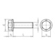 Vis de blocage Ripp à tête hexagonale à embase - SCR-RIPP-10.9-WS17-(ZFSHL+G)-M12X1,5X40 - 2