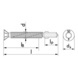 Vis autoperceuse à ailettes, fraisée - VIS-TF-AUTOFR-AW30-(RUS)-6X100 - 2