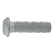 Screw with flattened half round head and hexagon socket - SCR-BUT-ISO7380/1-010.9-ZFSHL-M12X55 - 1