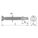 Vis autoperceuse à ailettes, fraisée - VIS-TF-AUTOFR-AW30-(RUS)-6X100 - 3