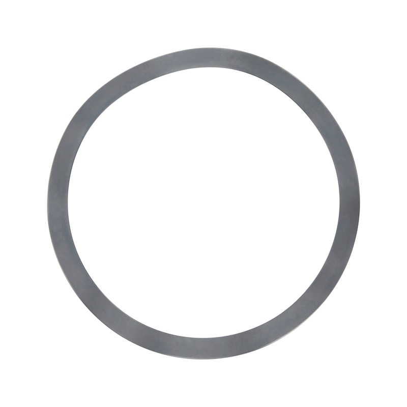 Buy Wave Spring Washers for Bearings online