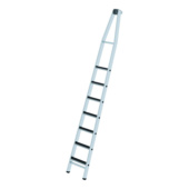 Window cleaning ladders