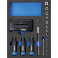 ATORN hard foam insert equipped with torque screwdriver set + accessories