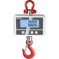 Electronic crane scales HCD