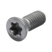 Tornillo de fijación para broca de placas intercambiables Star Drill