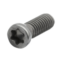 tornillo de fijación para placa intercambiable de 2 hojas, T x 2,5 x 8