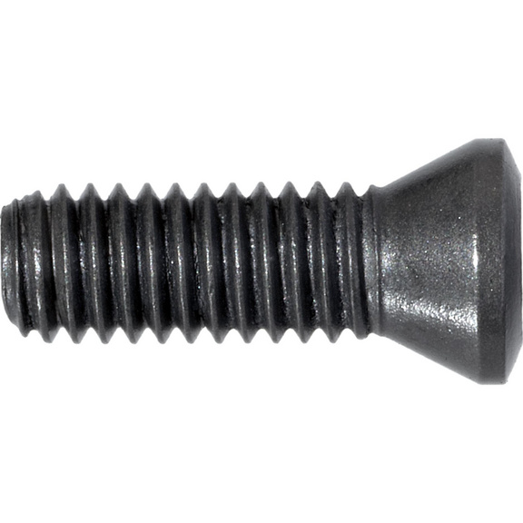 ATORN Spannschraube für WC09 M3,5x8,2 mm T15 - Spannschraube