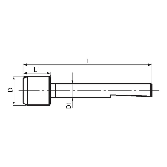 HERMANN BILZ Führungszapfen mit Spannfläche 00 3 mm x 5 mm x 28 mm - Führungszapfen mit Spannfläche