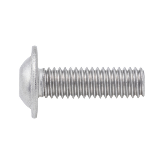 Hexagon socket screw, flat round head, flange - ISO 7380-2 A4/070 M5X20