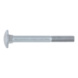 Lock screw, round pan head, square lock - DIN 603 8.8 ZP M8X30 - 1